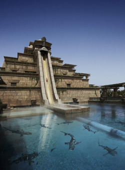 teluete:  grumpyoldgranny:  The Leap of Faith 27.5m tall and 61m long, from the top of the Ziggurat the Leap of Faith catapults riders into a transparent tunnel and through a shark-filled lagoon.  If this shit’s real, I want in.  