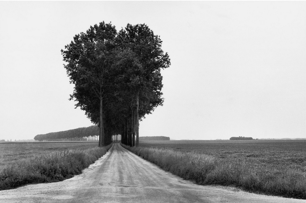 photo-graphers:  Brie 1968 by Henry Cartier-Bresson