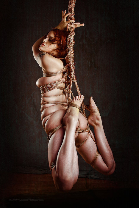 thecontrolenthusiast:  Oh I like this. The girth of the main suspension line gives