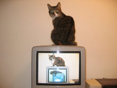 INCEPTION D:
