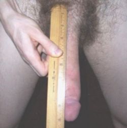 measureup.tumblr.com post 1220501174