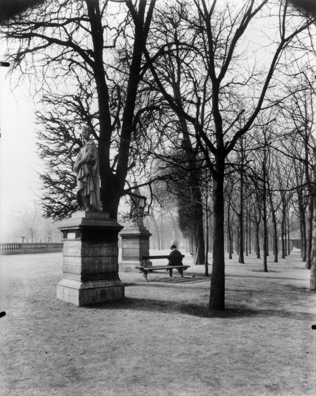 erinaa:  Eugene Atget, Jardin (du luxembourg i think) 