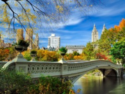 sunsurfer:  Autumn in Central Park, New York City photo from nicedestiny 