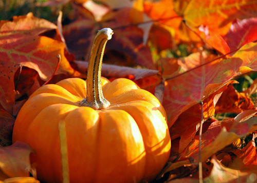 I love this season.