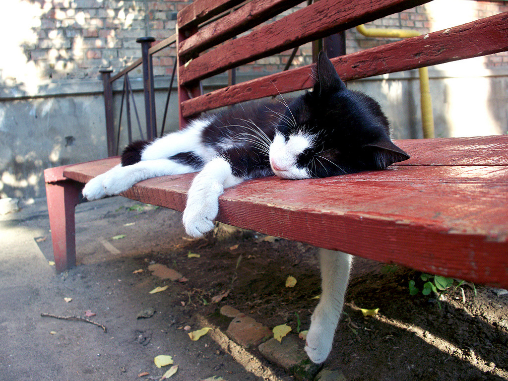 29922:  Sleeping (via Hey Christine) 