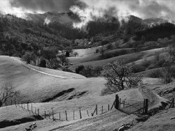 Pasture, Sonama County, California photo