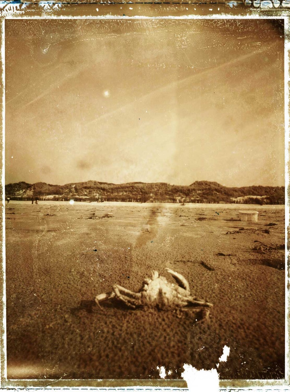 polaroidsandthoughts:
“Weekend on the north sea island Juist.
Film: Polaroid 55, negative not yet cleared, scanned, minor corrections in photoshop
”
all these years ago…