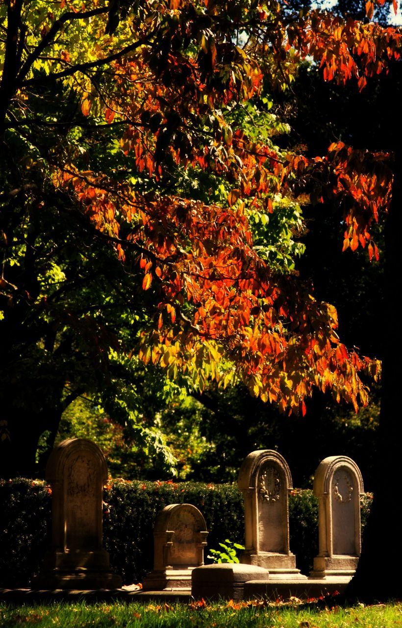 Once again, my weekend included quite a bit of time wandering through beautiful graveyards. This one was Mt. Auburn Cemetery in Cambridge, MA, and it’s America’s first garden cemetery.