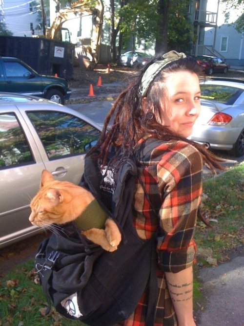 aliceamy:  punxwithkittens:  submitted by lyndsiephoto  I want a kitty in a bag :o 