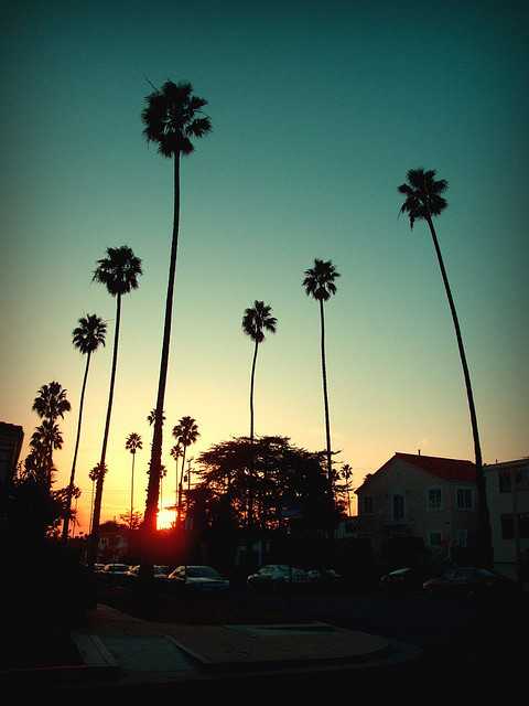 soul-surfer: Santa Monica