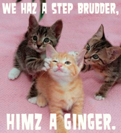 youmesexnow:  Himz a ginger.  IT’S