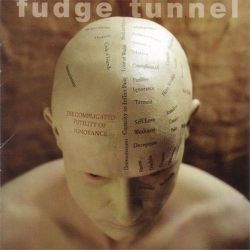 creepysmell:  Fudge Tunnel - The Complicated Futility Of Ignorance-1994.The fine ‘swansong’ album title from our long departed friends from Nottingham, UK.The track titles also encourage a wry smile - The Joy Of Irony, Suffering makes Great Stories,