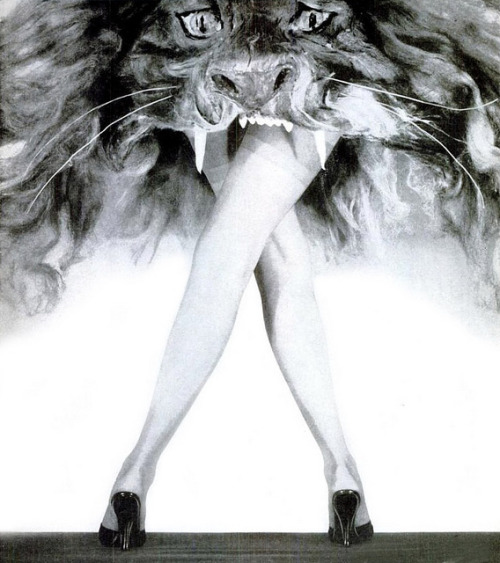 billyjane:Hanes Stockings,1955