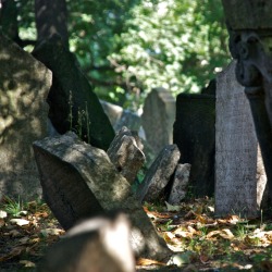 SIGHT OF THE TOMBS