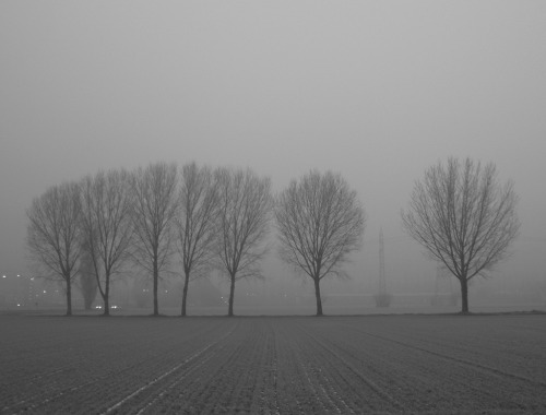 allthingseurope: Fog in the morning by bakur Milan, Italy