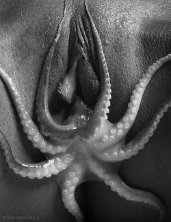 anthropolove:  Based on the size I assume that’s a baby octopus. 