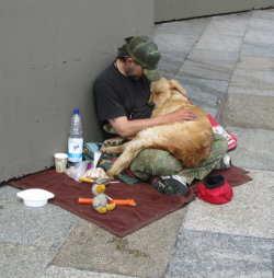 Esse cara merecia ter teto, comida, família e tudo que fosse necessário.  Os que maltrataram os animais deveriam estar nas ruas em condições  miseráveis. O mundo realmente está de cabeça pra baixo.