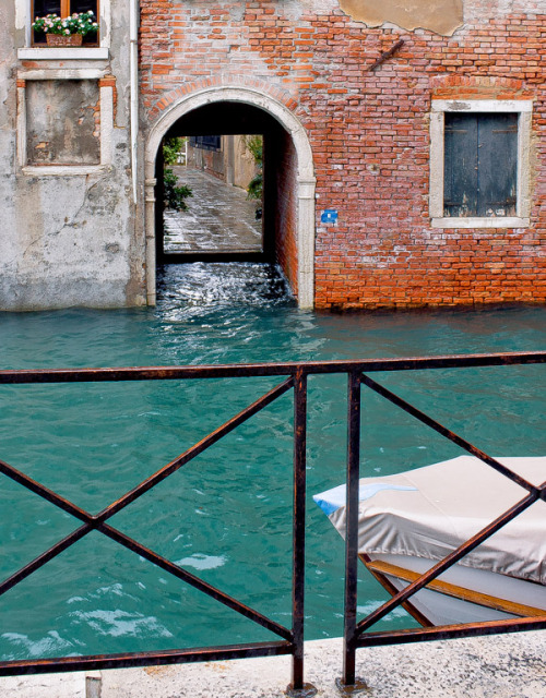 handa: Acqua alta (high water) in Venice, a photo from Venice, Veneto | TrekEarth