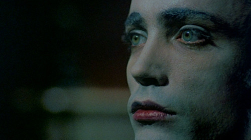 Fuck Yeah Udo Kier