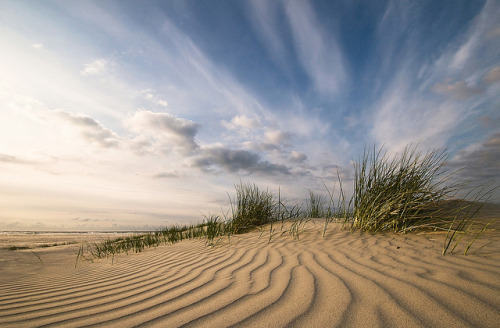 Dynamic elements | Schiermonnikoog Island, Netherlands, Europe© Daniel Bosma