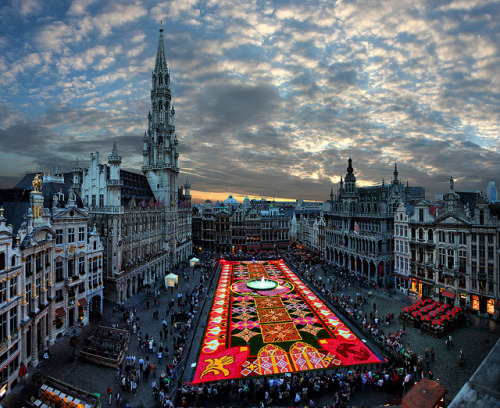 Brussels, Belgium, Europe© Gaston Batistini Biggest carpet of flowers in the world, with nearly 1 mi
