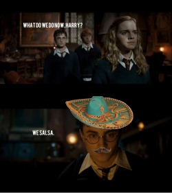 icantgotopigfartsitsonmars:  lionversusbear:  Umbridge can take away our everything, but she cannot take away our espíritu!  LOLWUT 