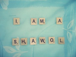 shawol:  ♥ 