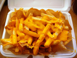 heysaralively:  fuckyeahcomfortfood:  cheese fries  feeling hungry right now woaaaah 