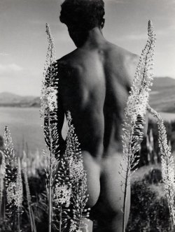 pleasuresofpan:  loverofbeauty:  herbert list  (via TumbleOn) 