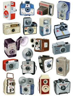 1950sunlimited:  camera love! 