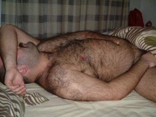 fhabhotdamncobs:  strongbearsbr:  strongbearsbr  W♂♂F     (FHDC, not the place for “Pretty Boys” or their fans) 
