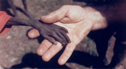 pepsidimples:  emilybronte:   World Press Photo of the Year: 1980 Mike Wells, United Kingdom. Karamoja district, Uganda, April 1980. Starving boy and a missionary. About the image Wells felt indignant that the same publication that sat on his picture