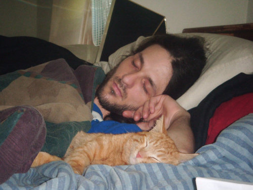 my man slave sleeping with the court jester cat.