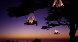 sunsurfer:  Tree Camping on the Pacific Coast, Elk, California photo by louie psyoyos 