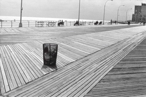 untitled photo by Elliott Erwitt, 1978