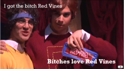 stellasaysxx:  BITCHES LOVE RED VINES 