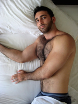 ilikeg0ys:  sex-positive:  Big, hairy, dark. Beautiful. I’d like to cuddle up to that.  Yes! I &lt;3 beards…. and body hair. 