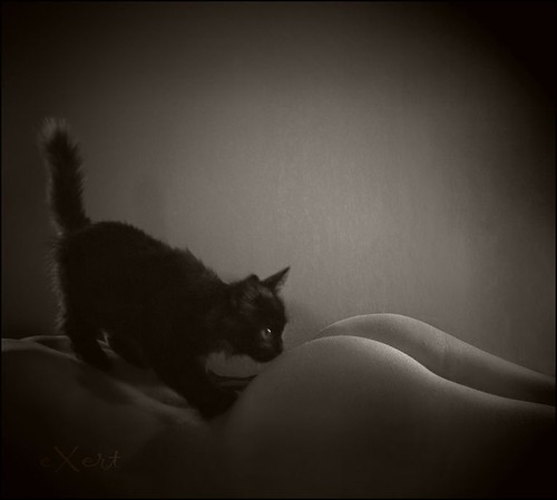 tush:  Ignore The Cat