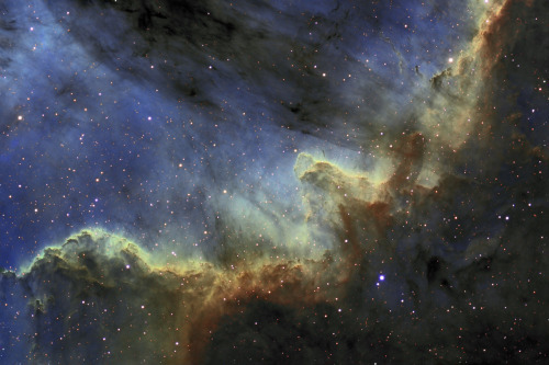 mini-space-alien:fuckyeahnebulas:NGC 7000i want to leave