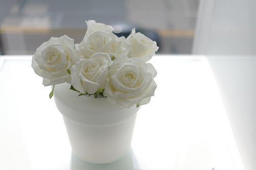 White roses.