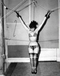 Bettie Page Is All The Rage!