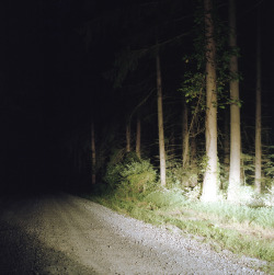 ridingwithstrangers:  patrickjoust:  Somewhere