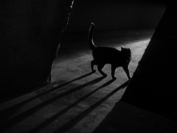 Oldhollywood:  Via The Black Cat (1934, Dir. Edgar Ulmer) “I Don’t Know. It