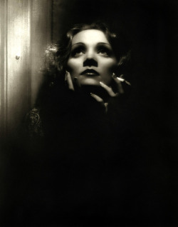 artemisdreaming:  Marlene Dietrich 