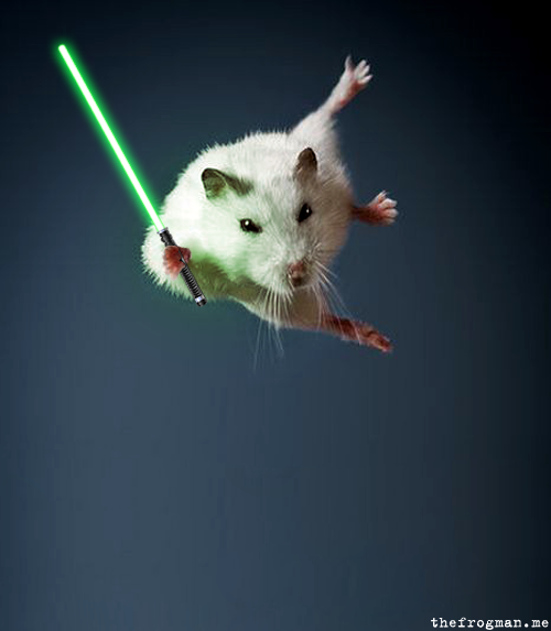 Stuart Little Unleashed! Hilarious Star Wars photo manipulation by Ben Grelle. Follow him here on Tumblr for more original content.
Related Rampages: Yoda gets great reception | Mah Popped Collar
Jedi Mouse by Ben Grelle / thefrogman (Twitter)...