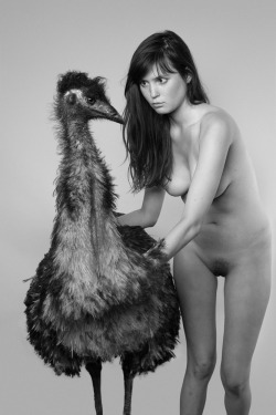 fuckyeahryanmcginley:  Grace (Emu), 2010 