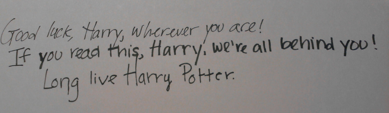 younopoo:   On this spot, on the night of October 31, 1981, Lily and James Potter