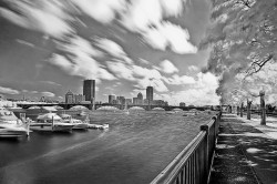 black-and-white:  Boston Infrared (by Werner