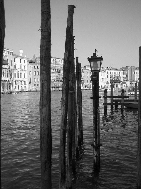black-and-white:  Venice (by Eva)  adult photos