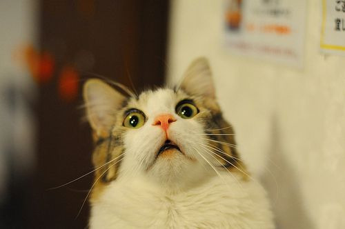 D: